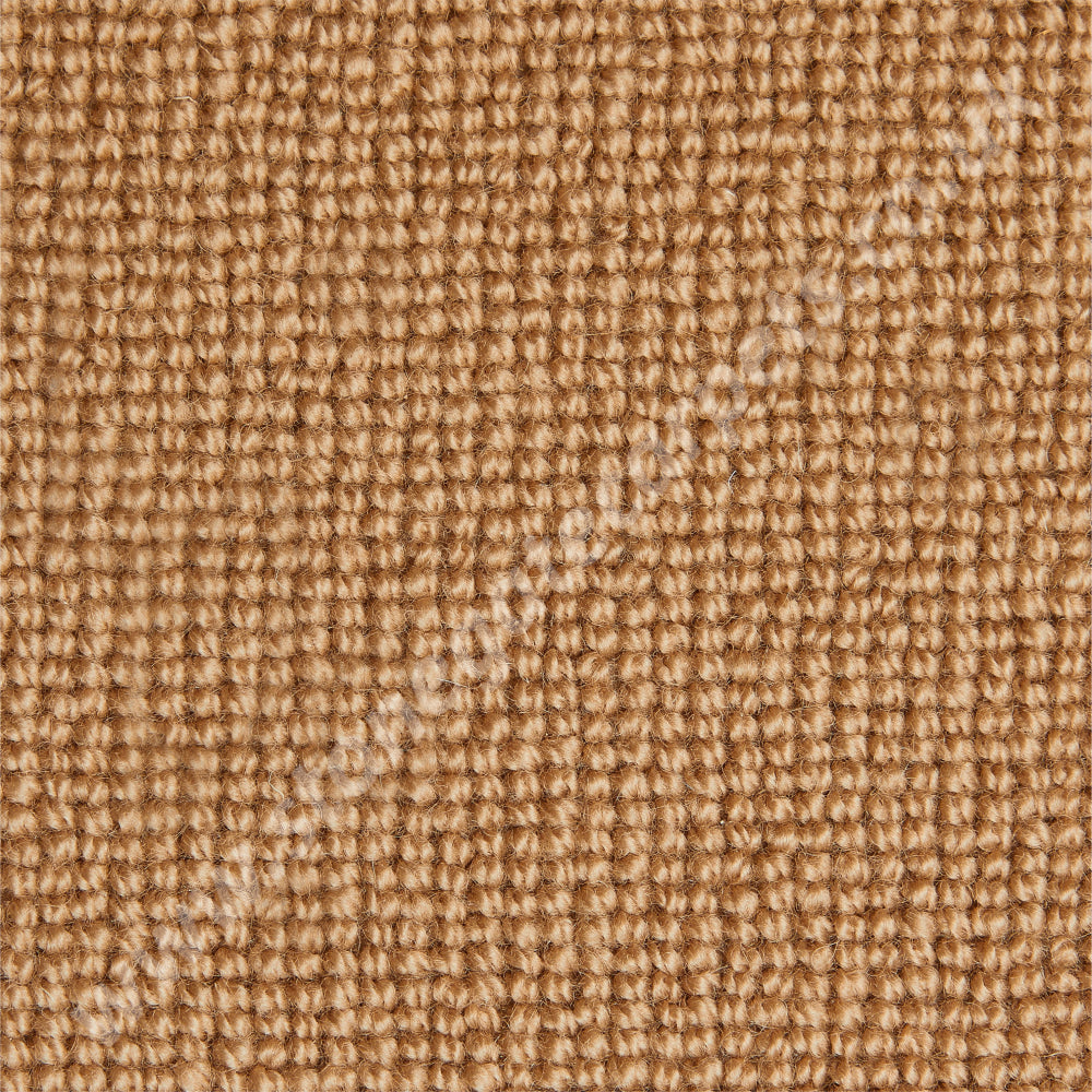 Westex Carpets Barrington Loop Corn