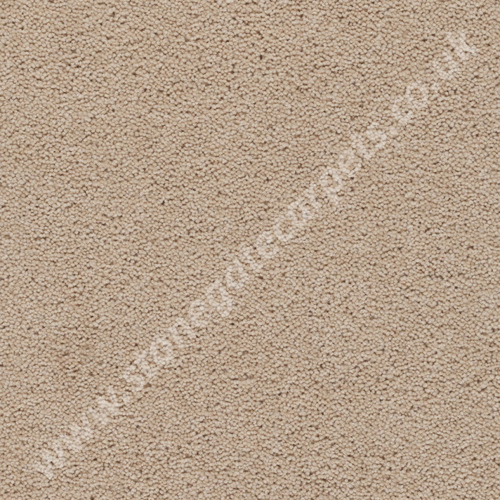 Devonia Butter Ice - Axminster Carpets