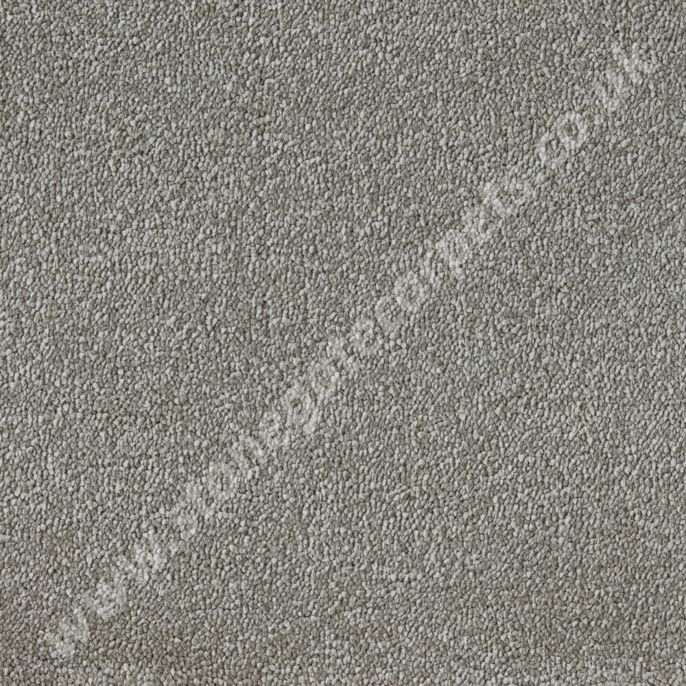 Westex Carpets Elysian Velvet, Celestial Quality, Colour - Macademia