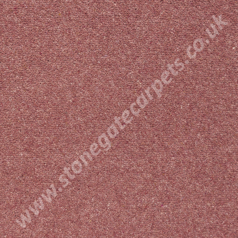 Penthouse Carpets Shoreline Coral