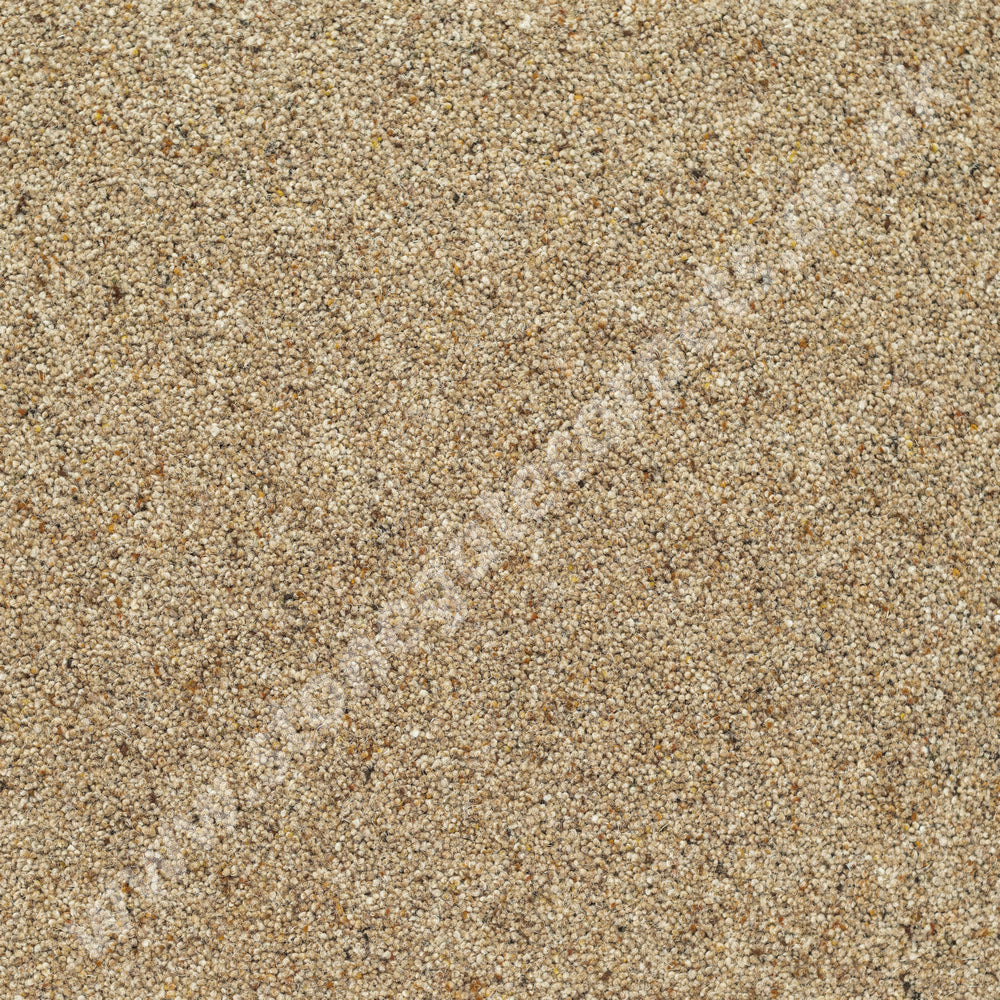 Penthouse Carpets Crofter Grain