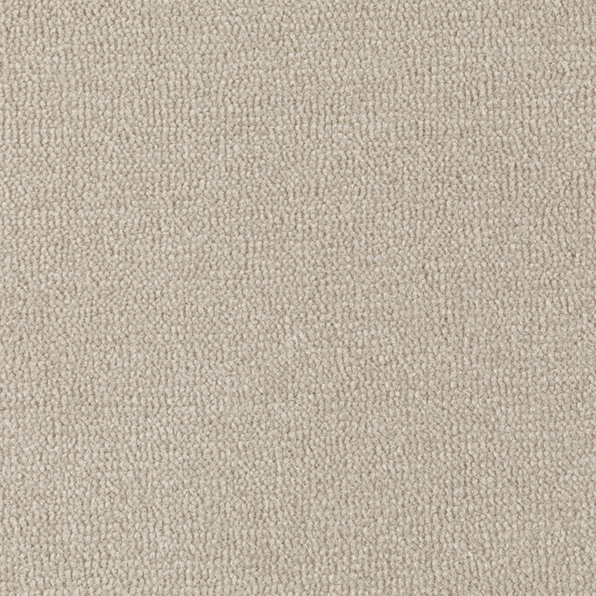 Axminster Carpets Velvet Collection Star Dune e)