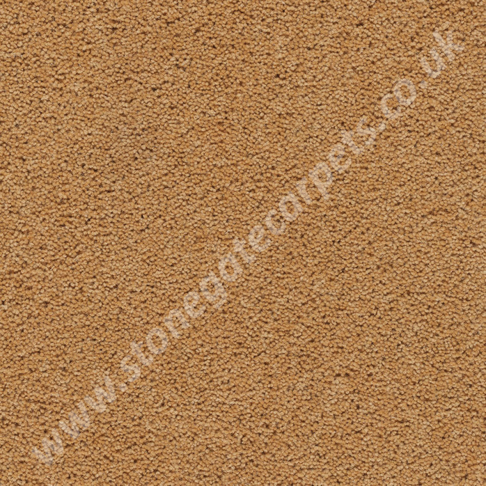 Sunkissed - Devonia - Axminster Carpets