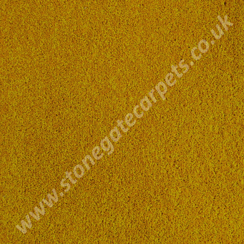 Penthouse Carpets Stateside Goldsboro Carpet