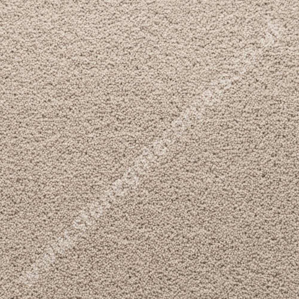 Penthouse Carpets Stateside Newport Carpet