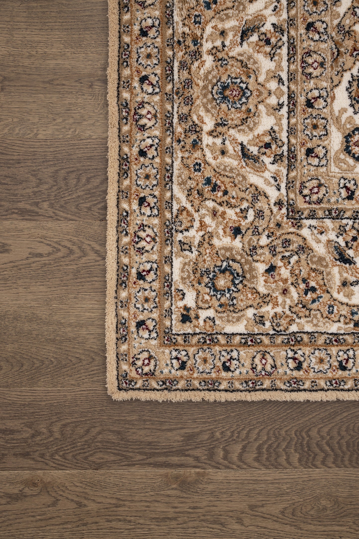 Agnella Rugs Calisia SAPRI Cream - 100% New Zealand Wool - Free Delivery