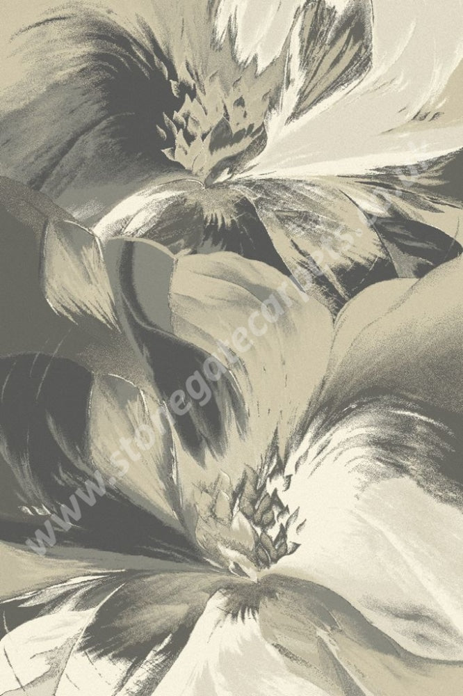 Agnella Rugs Calisia ANYL Light Beige - 100% New Zealand Wool - Free Delivery