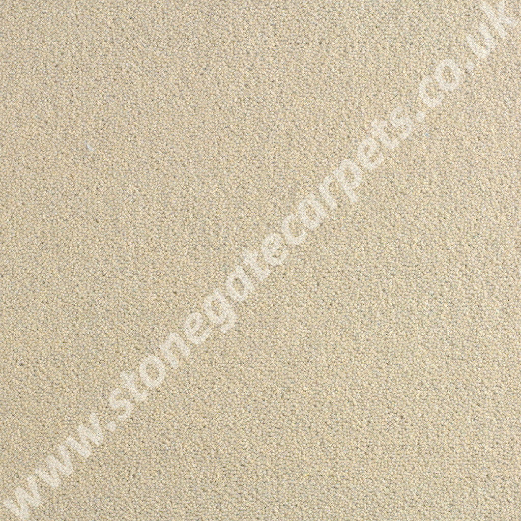 Brintons Carpets True Velvet Sushi Carpet Remnant EV402