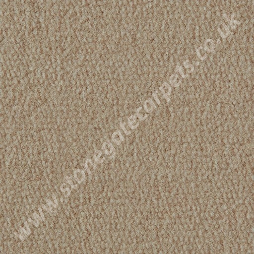 Exquisite Velvet - Colour Champagne (Per M²)