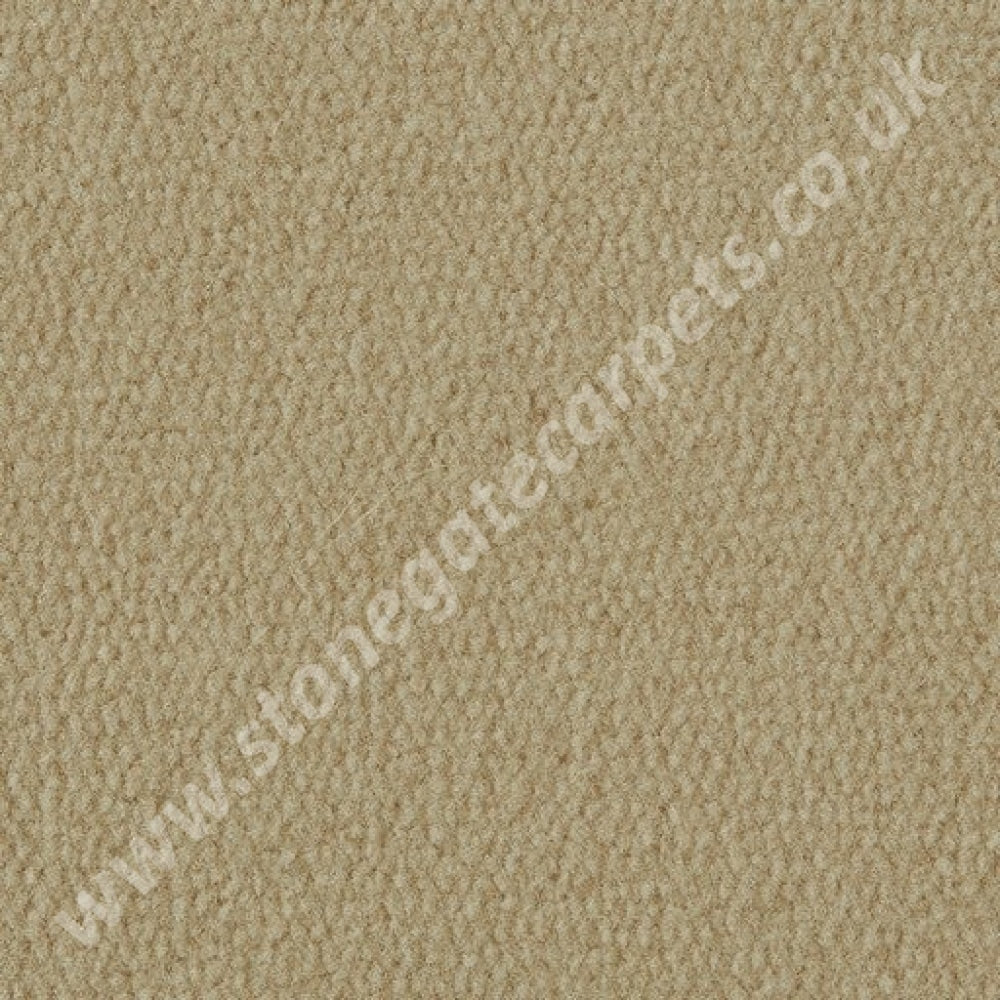 Exquisite Velvet - Colour Panama (Per M²)