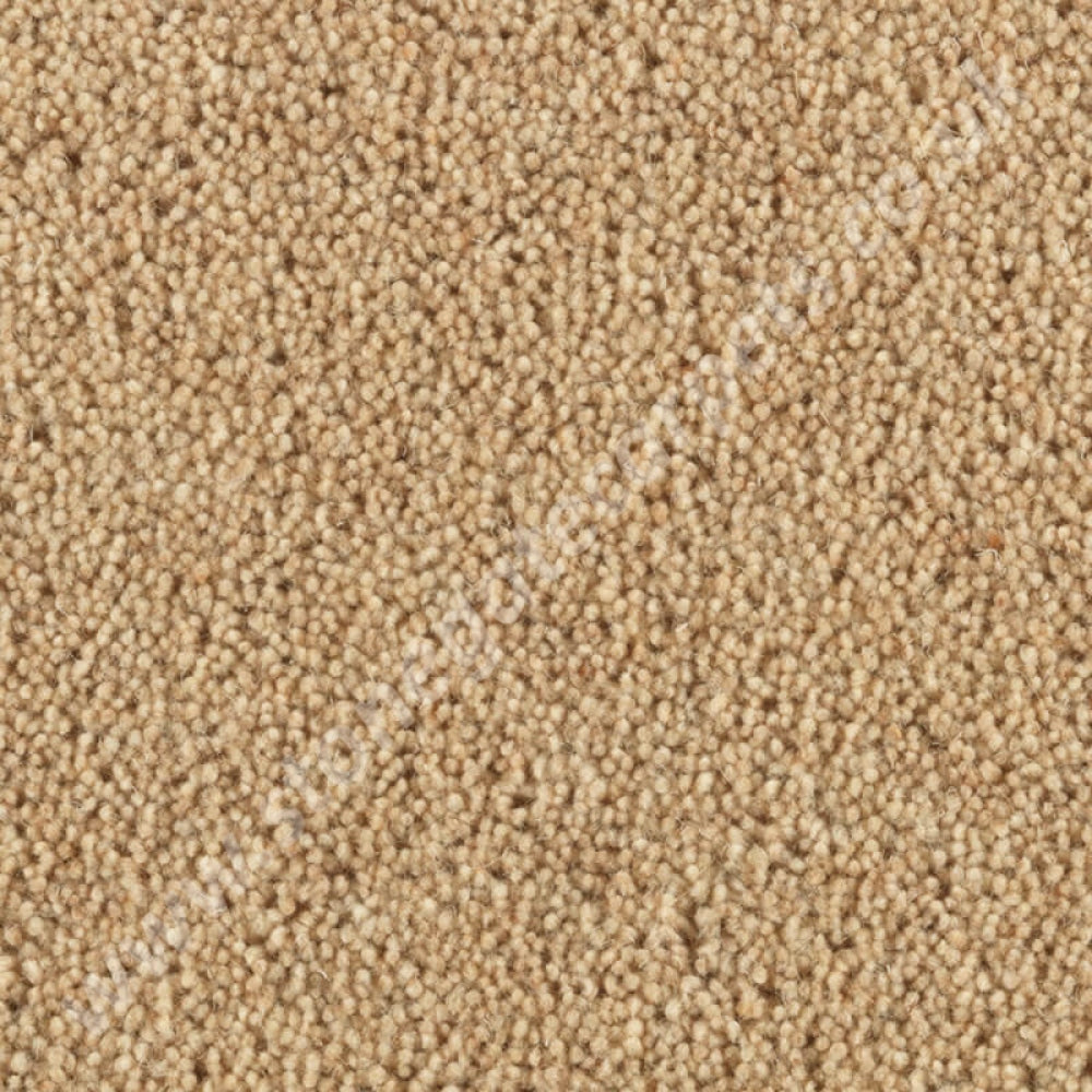 Penthouse Carpets Carlton Almond 10120