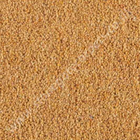 Penthouse Carpets Carlton Cornhusk 10125