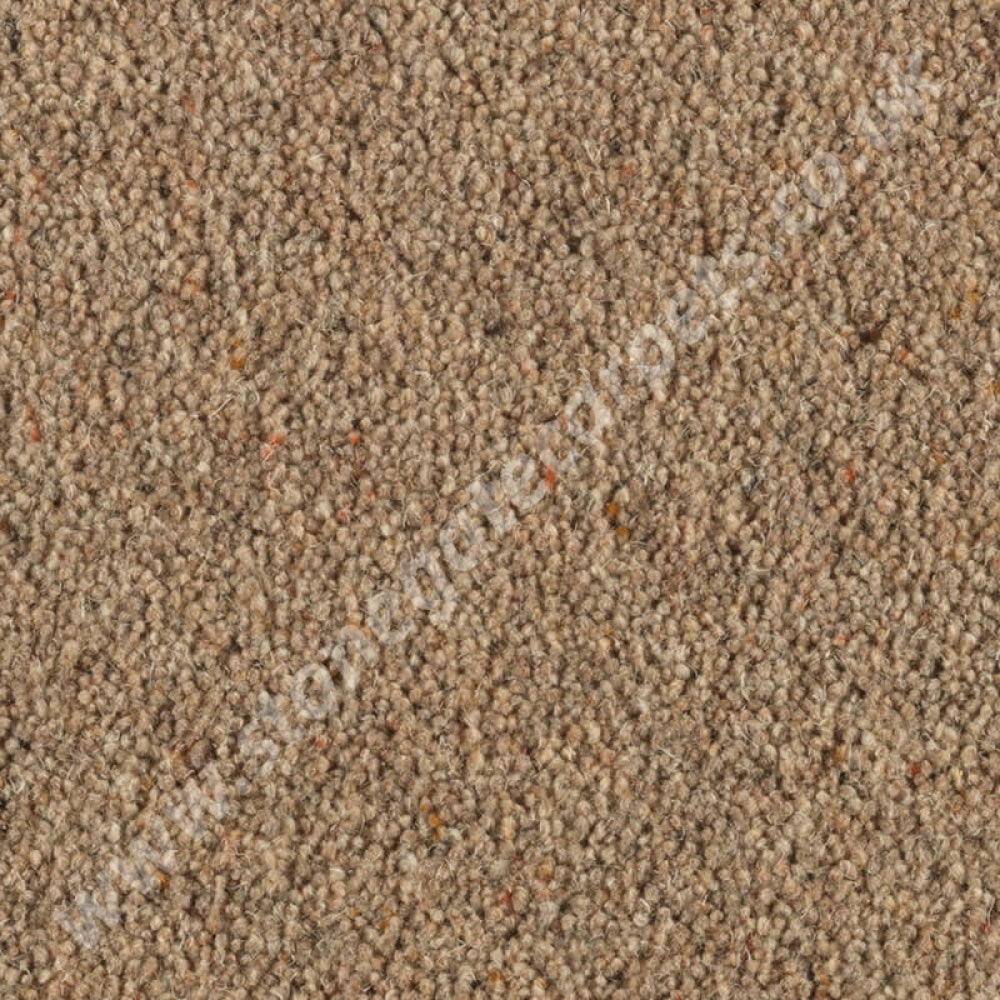 Penthouse Carpets Carlton Hopsack 10134