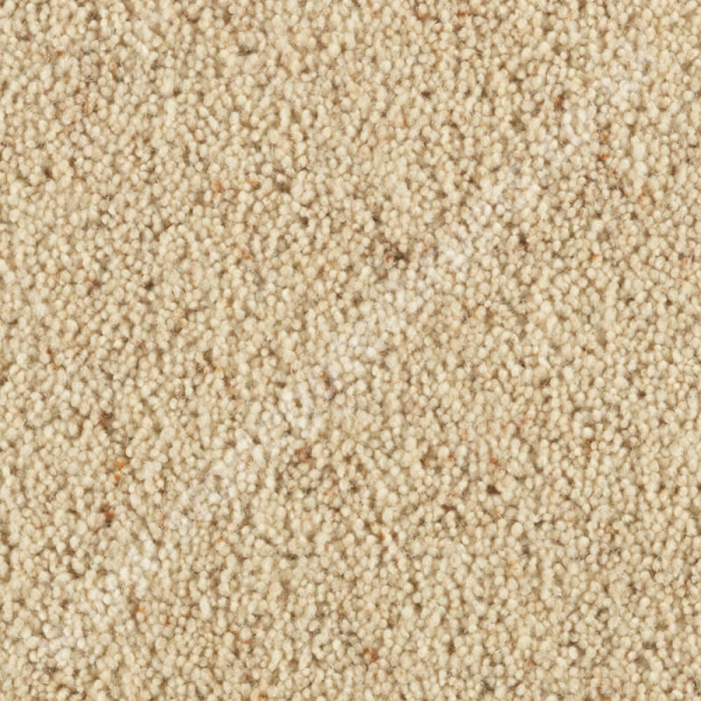 Penthouse Carpets Carlton Shortbread 10122