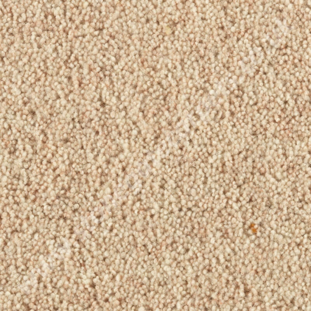 Penthouse Carpets Carlton Vellum 10119