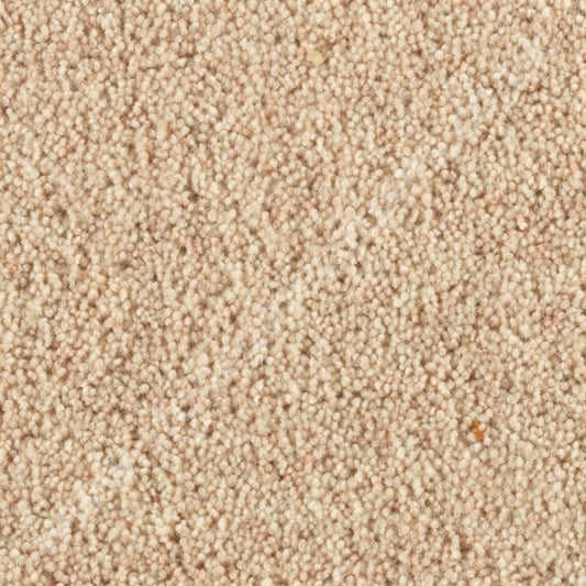 Penthouse Carpets Carlton Vellum 10119