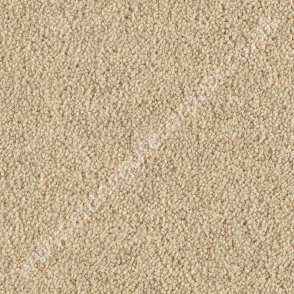 Penthouse Carpets Cumbrian Twist Barrow 10142