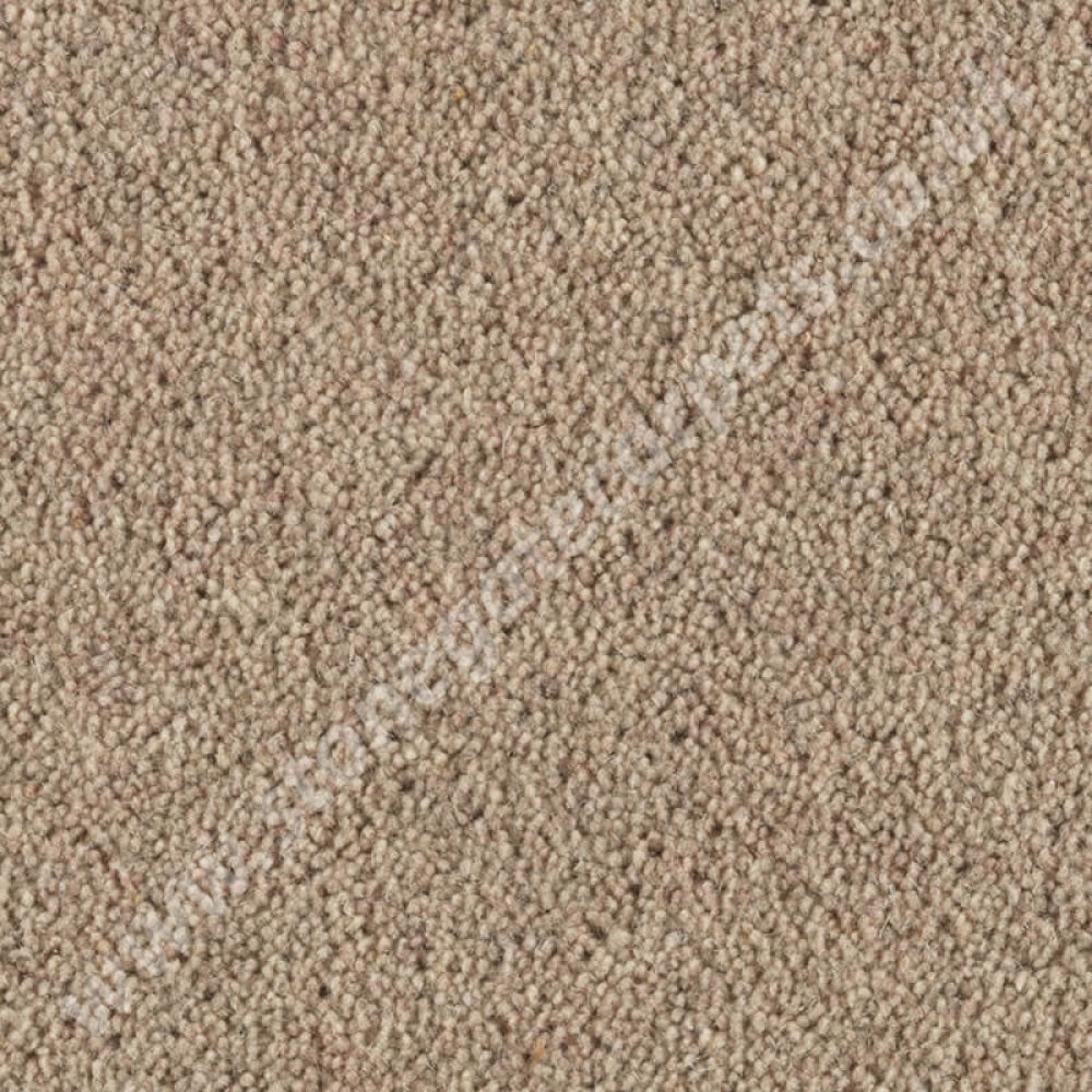 Penthouse Carpets Cumbrian Twist Cartmel 10144