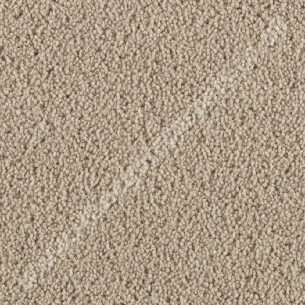 Penthouse Carpets Cumbrian Twist Coniston 10153