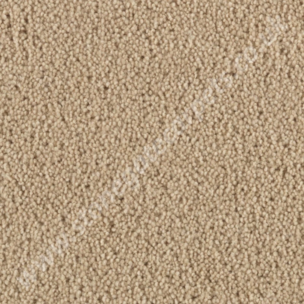 Penthouse Carpets Cumbrian Twist Keswick 10147