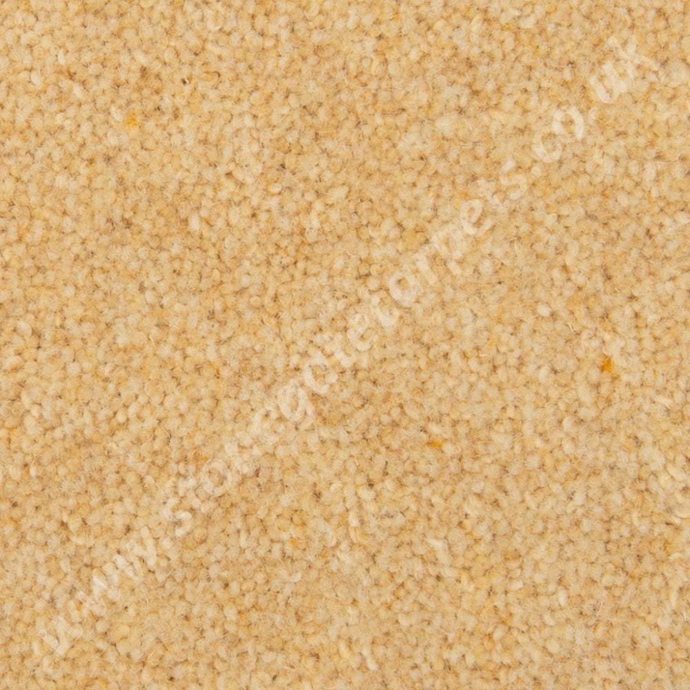 Penthouse Carpets Esprit Nouveau Curlew (Per M²) Carpet