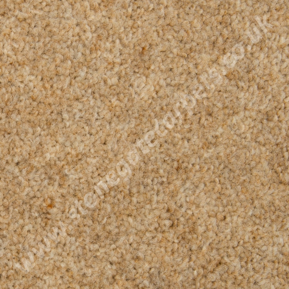 Penthouse Carpets Esprit Nouveau Pegasus (Per M²) Carpet