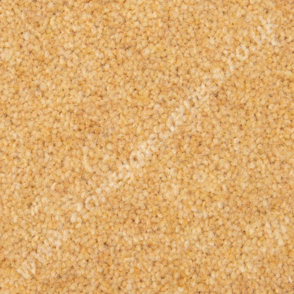 Penthouse Carpets Esprit Nouveau Plover (Per M²) Carpet