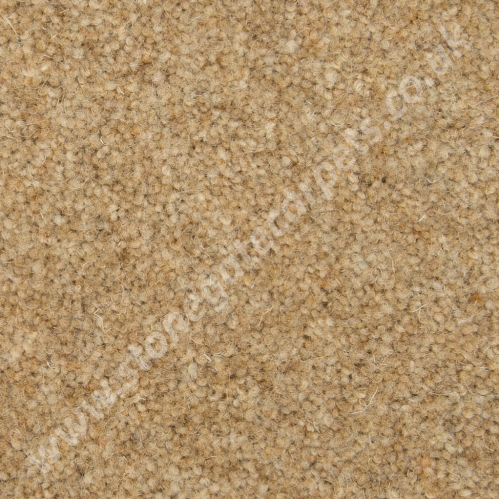 Penthouse Carpets Esprit Nouveau Wren (Per M²) Carpet