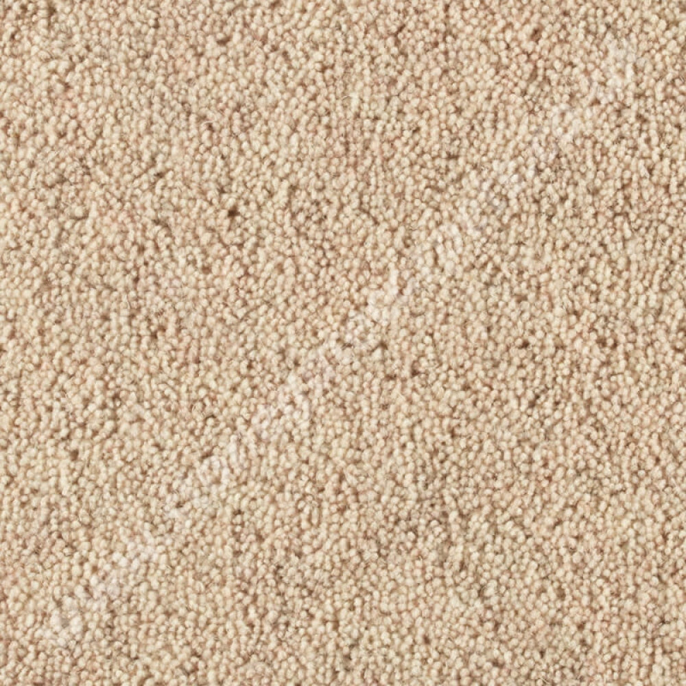 Penthouse Carpets Pentwist Natural Ammonite 10017