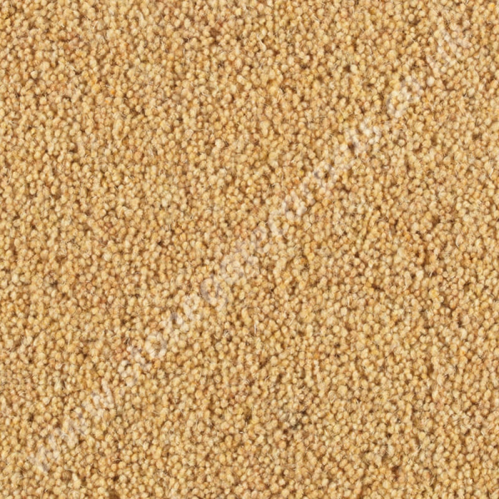 Penthouse Carpets Pentwist Colour Buttercup 10089