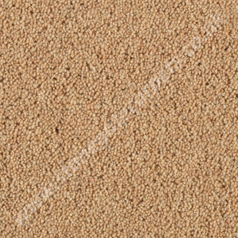 Penthouse Carpets Pentwist Natural Canvas 10021