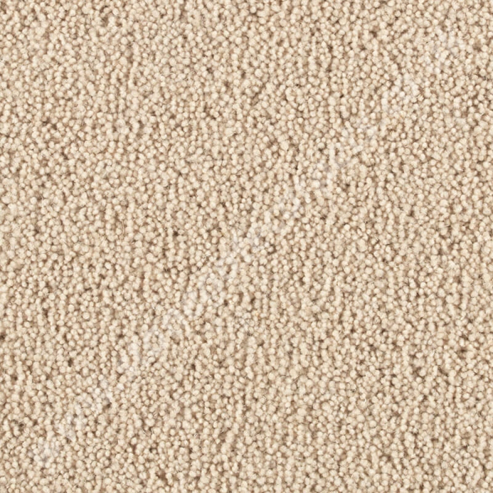 Penthouse Carpets Pentwist Natural Cashew 10012