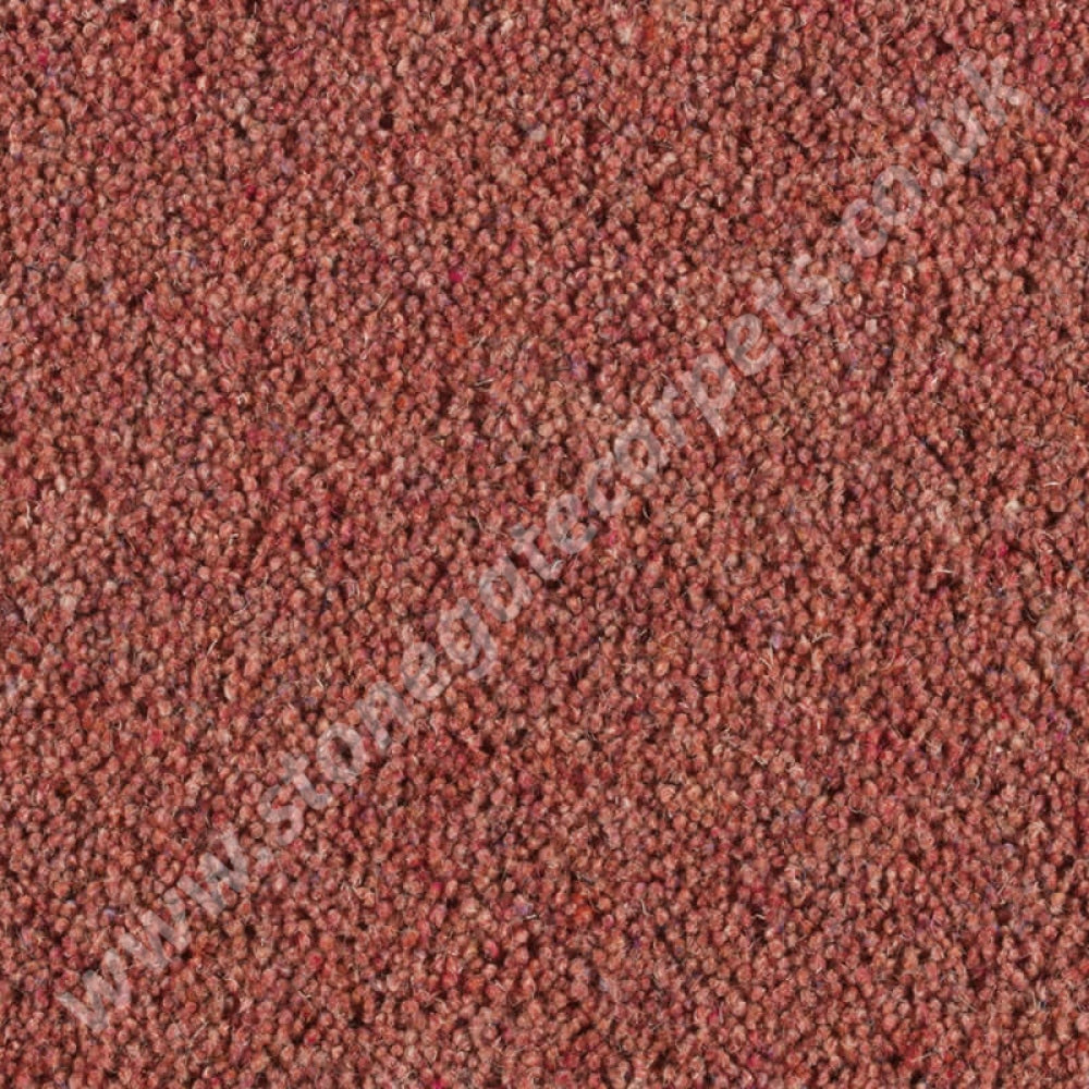 Penthouse Carpets Pentwist Colour Morello 10099