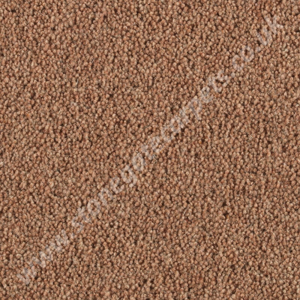 Penthouse Carpets Pentwist Natural Oakwood 10026