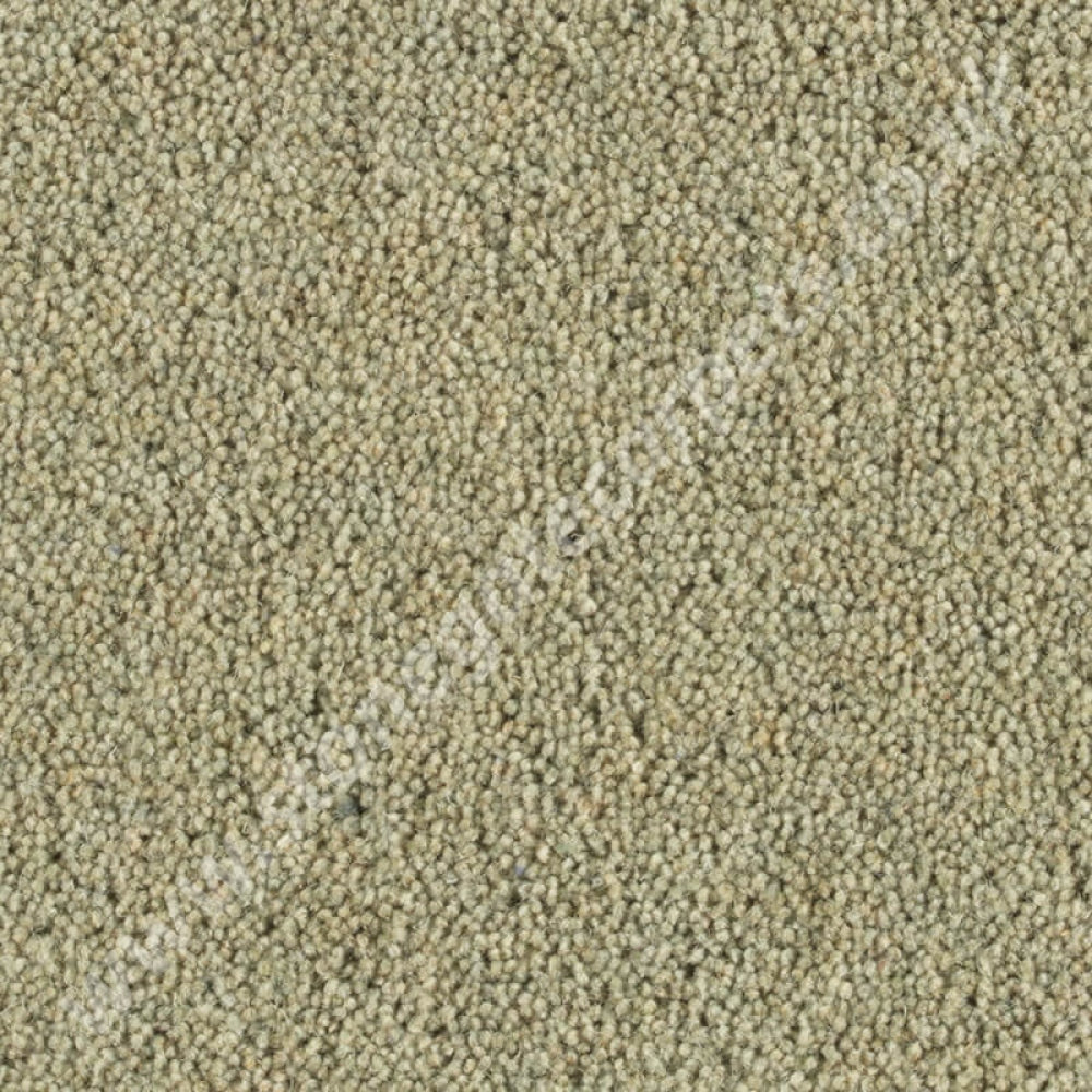 Penthouse Carpets Pentwist Colour Orchard 10108