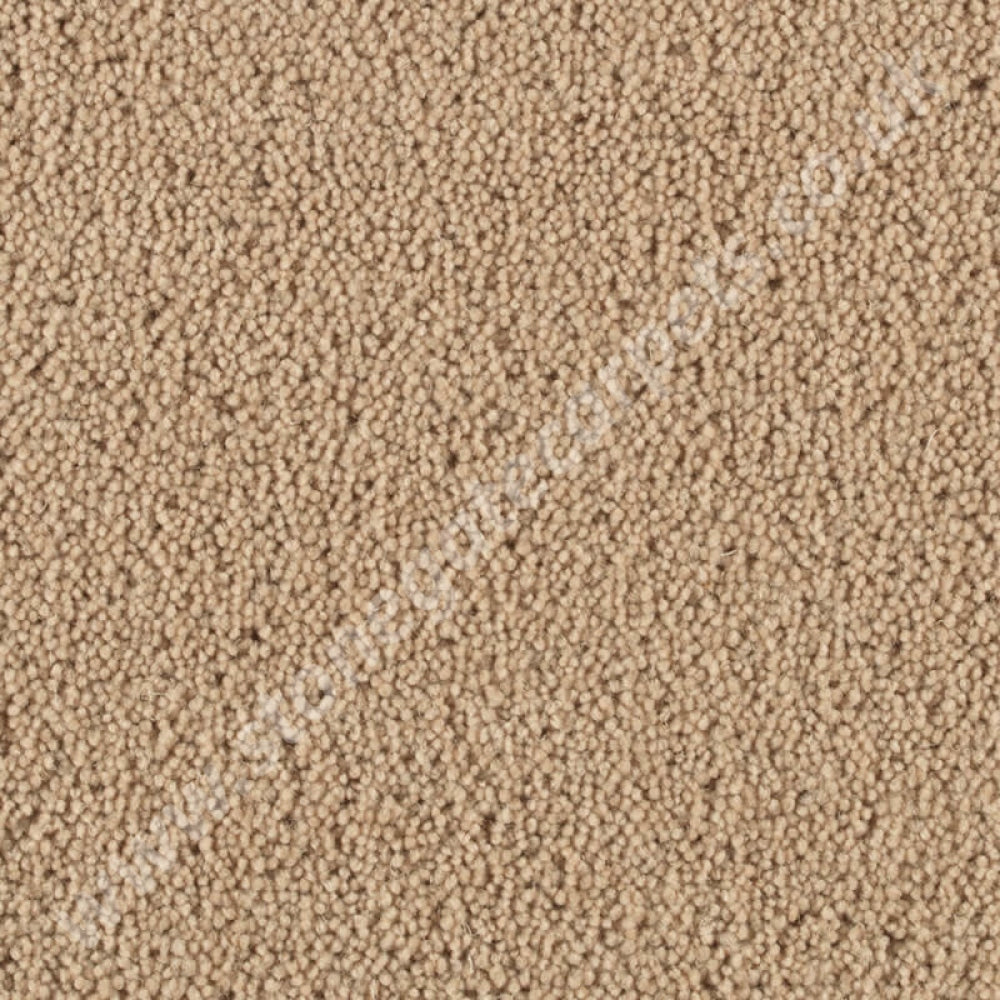 Penthouse Carpets Pentwist Natural Oyster 10020