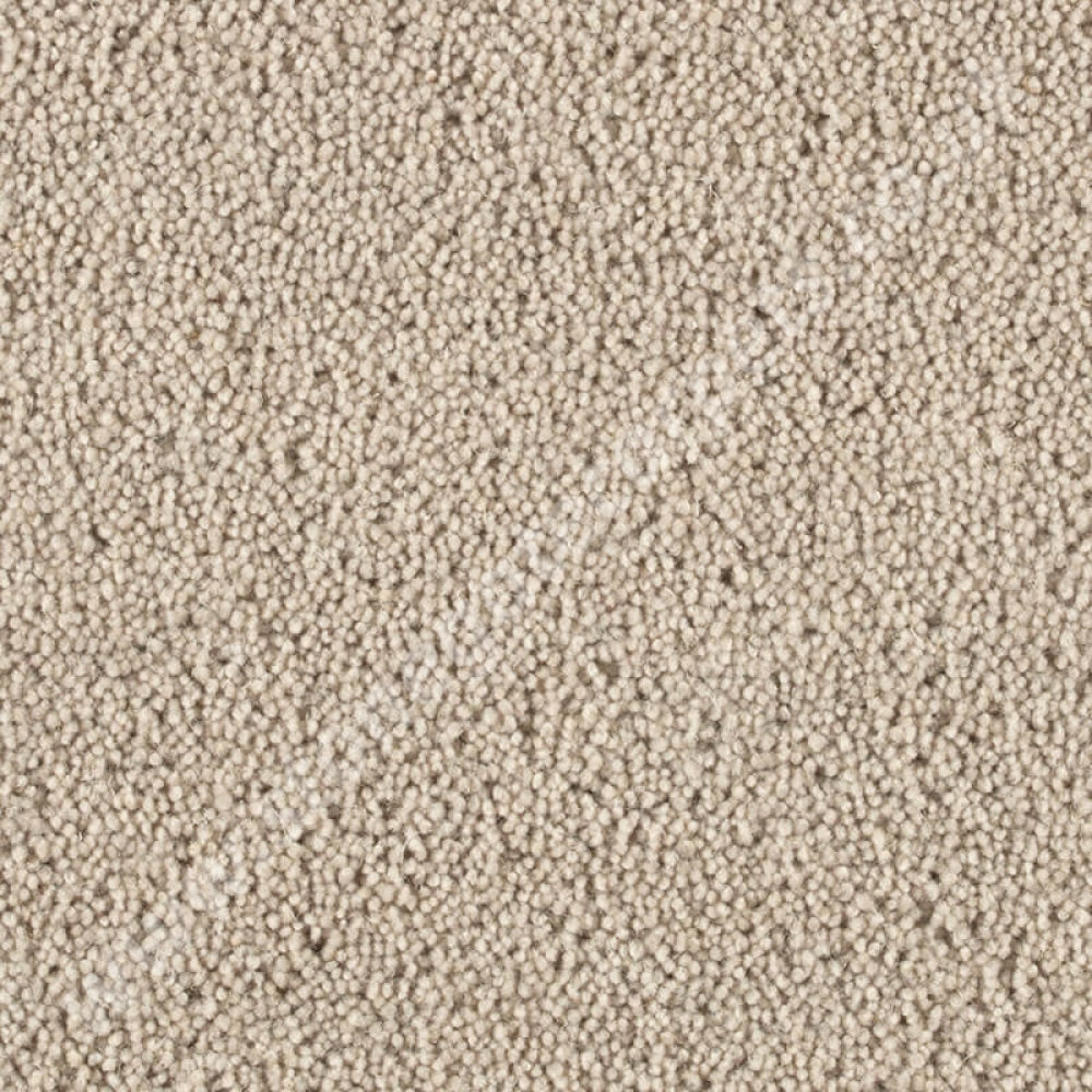 Penthouse Carpets Pentwist Natural Pampas 10010