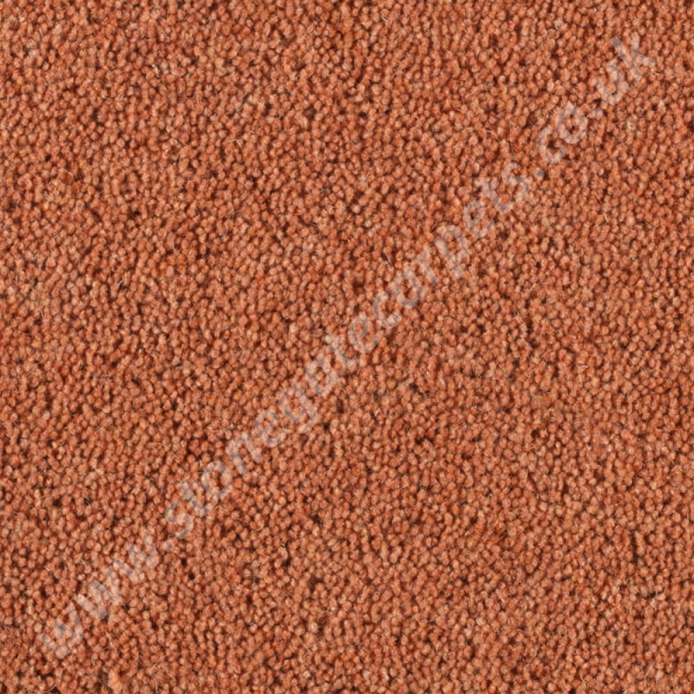 Penthouse Carpets Pentwist Colour Paprika 10095