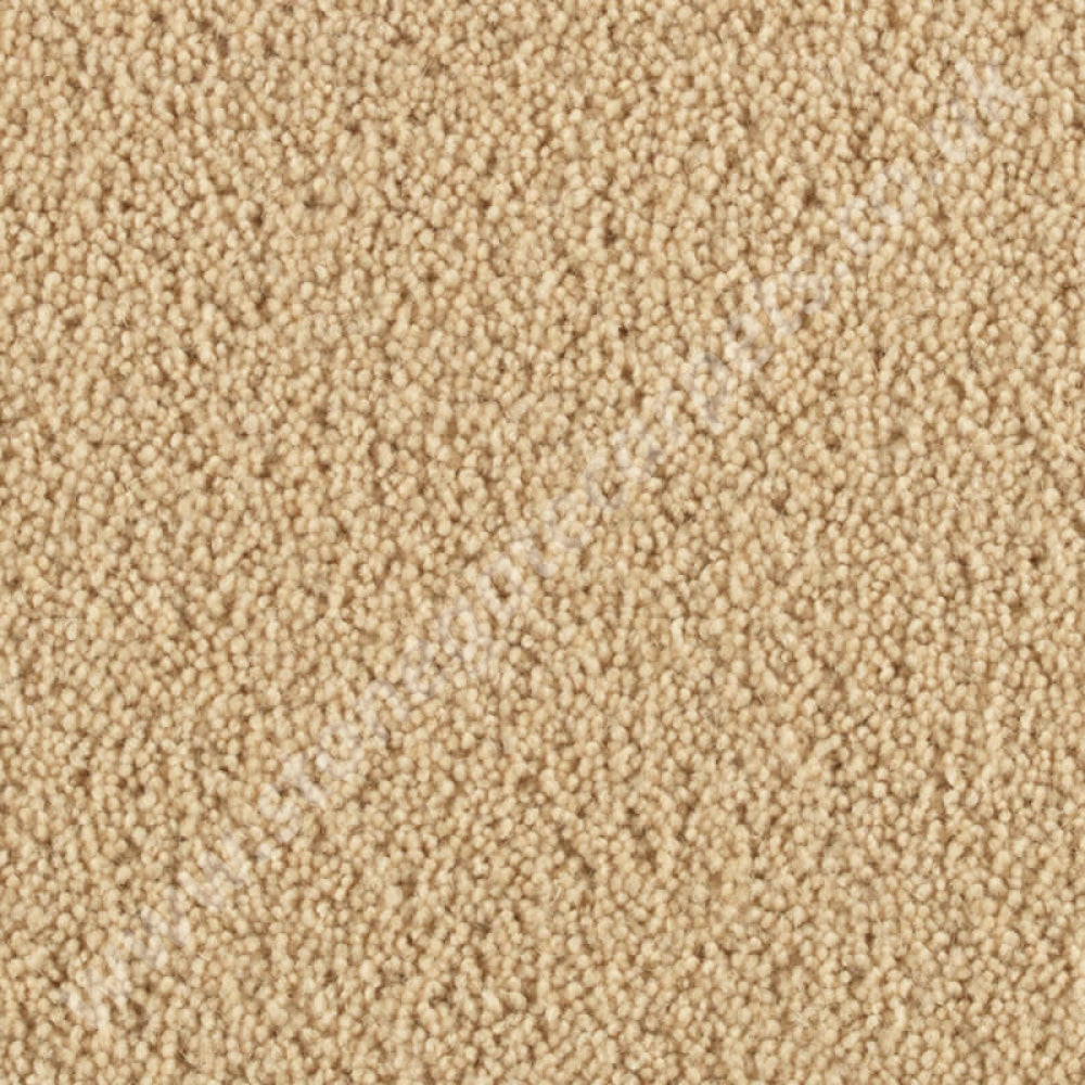 Penthouse Carpets Pentwist Colour Pearl 10091