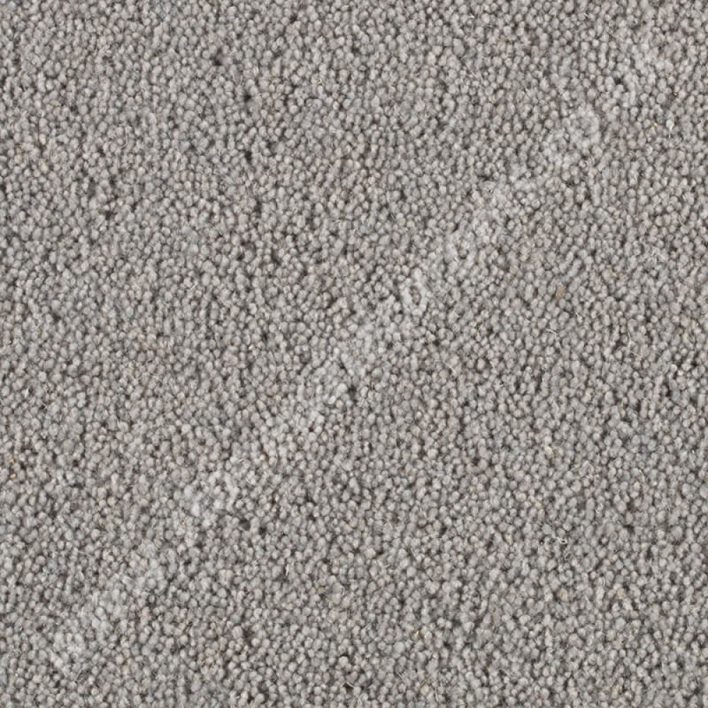 Penthouse Carpets Pentwist Natural Silver Birch 10006