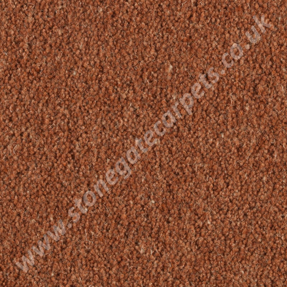 Penthouse Carpets Prism Carnelian 10144