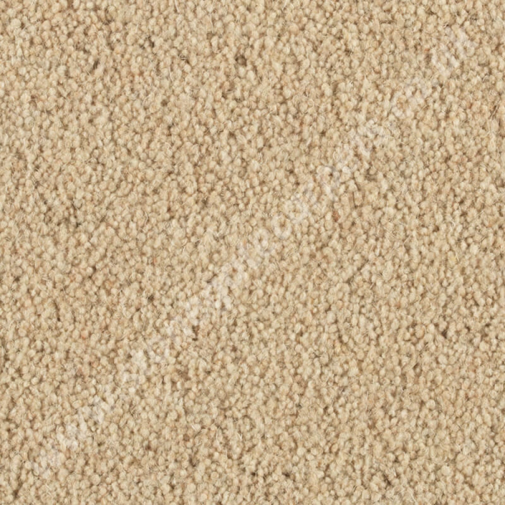 Penthouse Carpets Quartz Citrine 10095