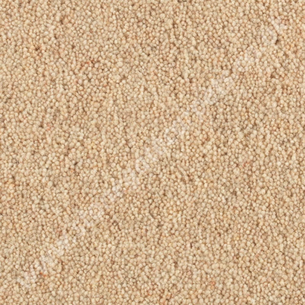 Penthouse Carpets Shoreline Cockleshell 10090