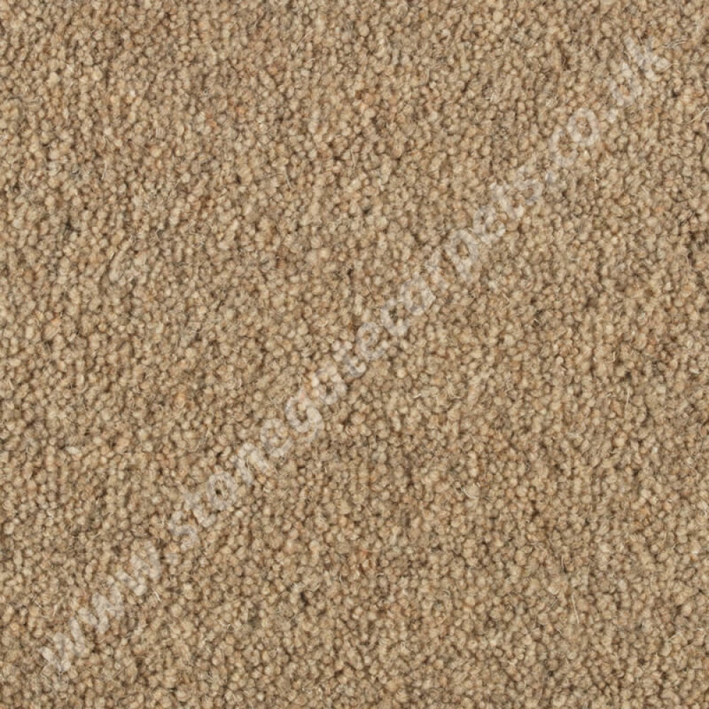 Penthouse Carpets Shoreline Harbour 10098