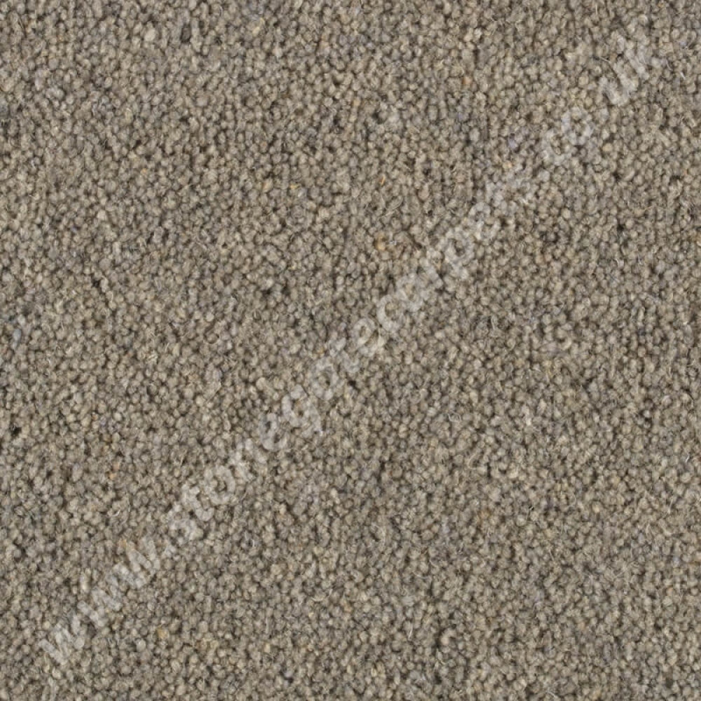 Penthouse Carpets Shoreline Nautilus 10111