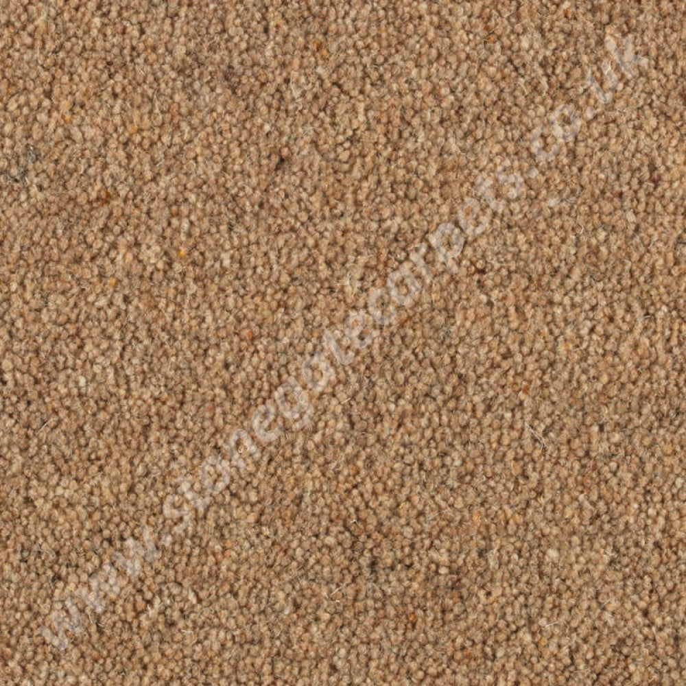 Penthouse Carpets Shoreline Reef 10103