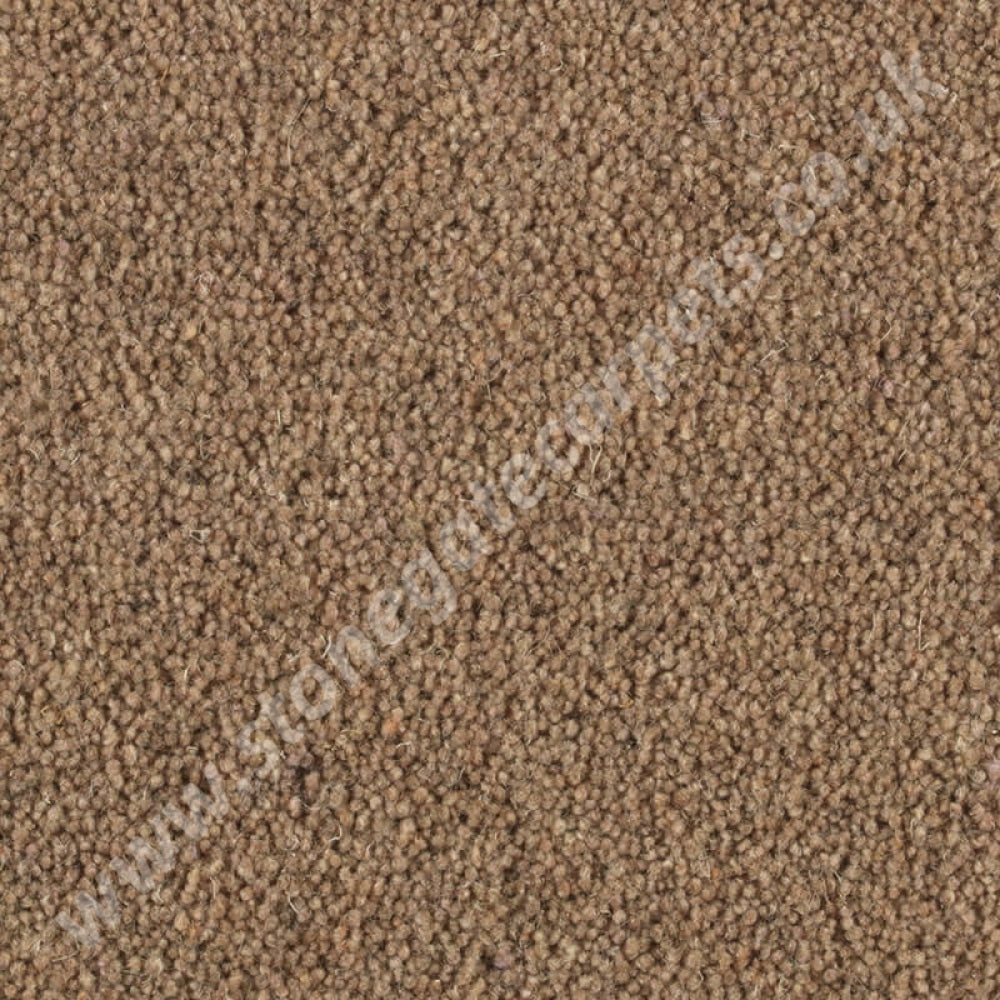 Penthouse Carpets Shoreline Strand 10104