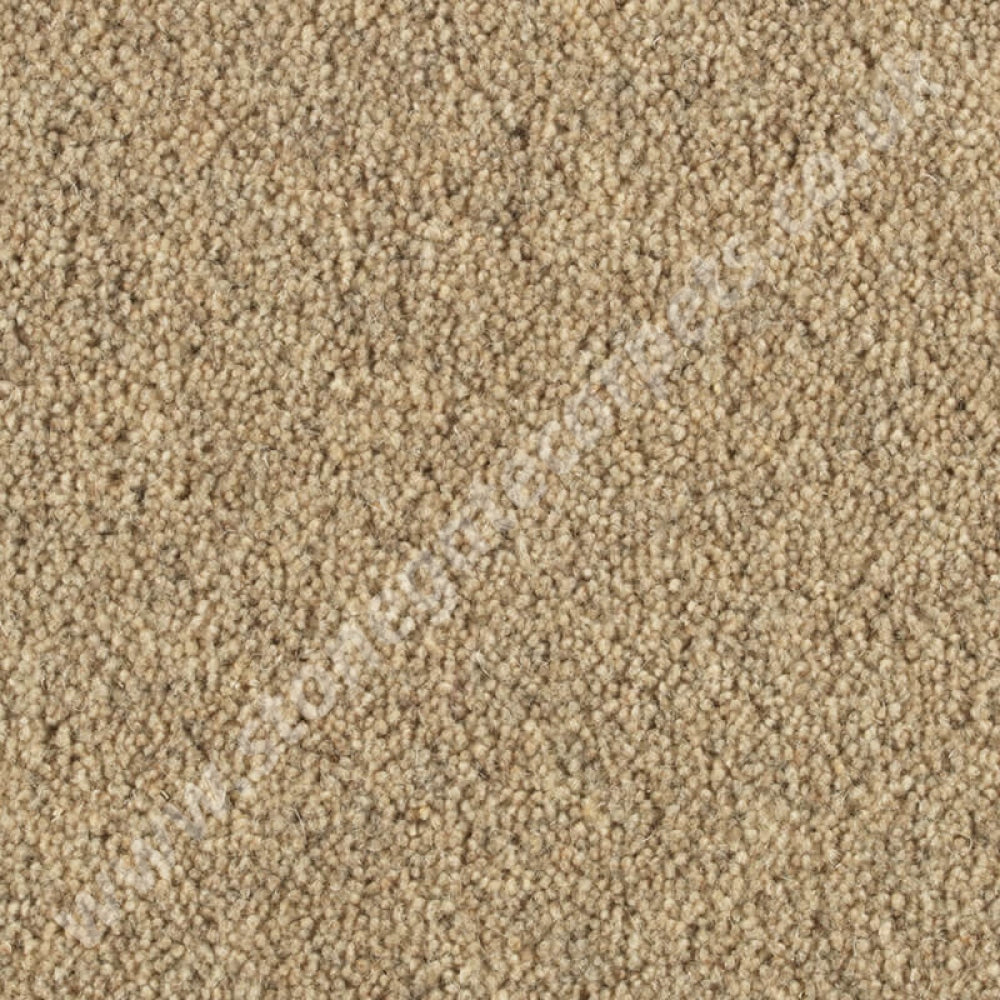 Penthouse Carpets Springtime Exmoor 10111
