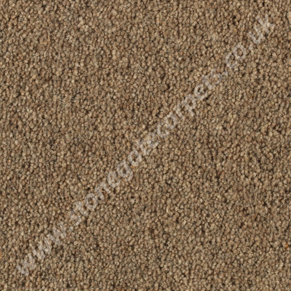 Penthouse Carpets Springtime Romney 10115