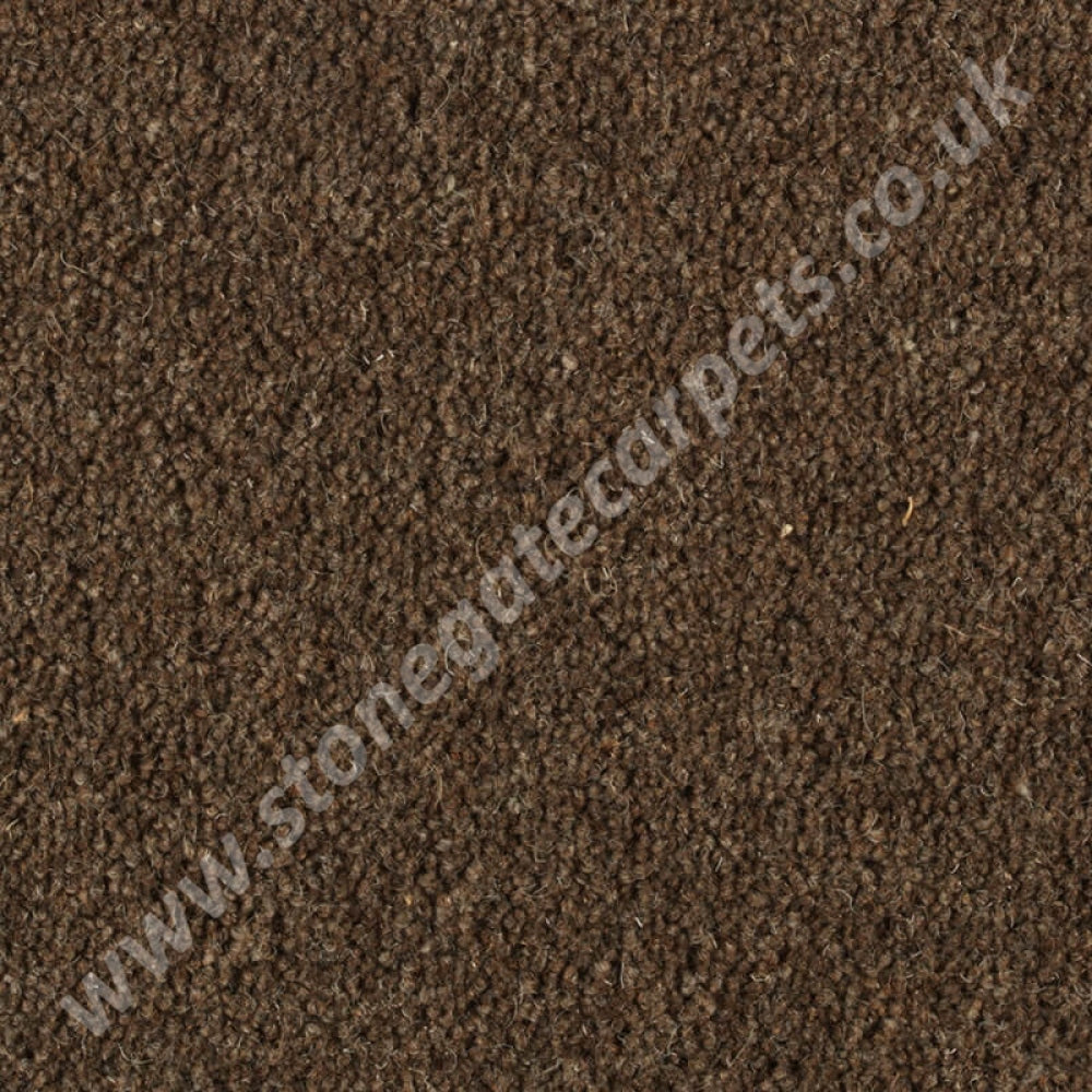 Penthouse Carpets Springtime Southdown 10118